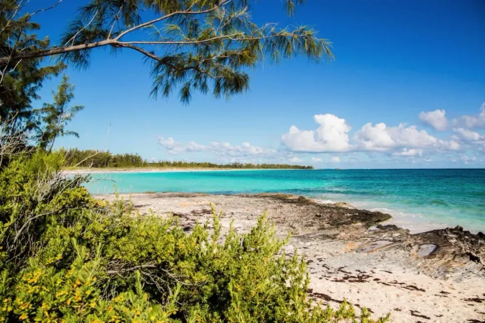 French Leave Beach on Eleuthera, Bahamas